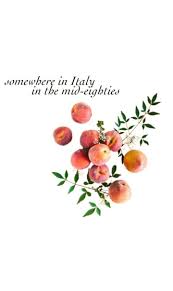 Call Me By Your Name Wallpaper Quotes Call Me By Your Name 2017 Quote Your Name Movie Your Name Quotes Call Me