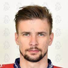 Czech Ice Hockey photo stock