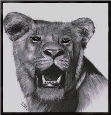 Lioness Underground Art Drawing Stars Drawings