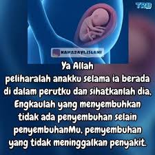 Aplikasi ini berisikan doa untuk bayi baru lahir lengkap dalam bahasa arab, latin dan artinya. Doa Ketika Bayi Dalam Kandungan Mukena Mahar Mewah Facebook