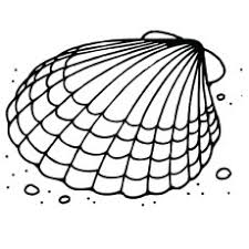 In coloringcrew.com find hundreds of coloring pages of clams and online coloring pages for free. Clam Shell Drawing Easy
