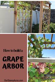 Building A Grape Arbor In Your Backyard Garden Our Stoney Acres In 2020 Growing Food Growing Gardens Grape Arbor