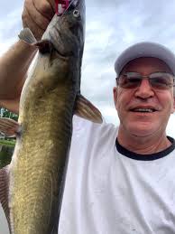 Orange orb sighting over Weiss Lake affects catfish behavior