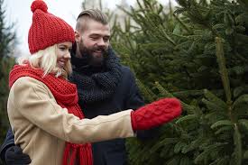Maybe you would like to learn more about one of these? The 10 Best Christmas Tree Farms In Alabama