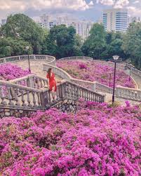 5 Places In Singapore To Get Dreamy Ethereal Pink Photos Girlstyle Singapore Customize and personalise your desktop, mobile phone and tablet with these free wallpapers! 5 places in singapore to get dreamy