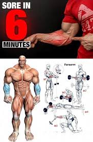 Endomorph Body Type Workout Exercise Diet Plan Weightlossfooddrinks Forearm Workout Biceps Workout Shoulder Workout