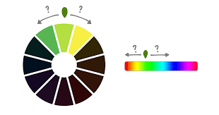We did not find results for: Guide To Creating Color Schemes Art Rocket
