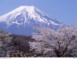 Nghệ sĩ lê cung bắc qua đời, hưởng thọ 76 tuổi. Nui Phu SÄ© á»Ÿ Nháº­t Báº£n