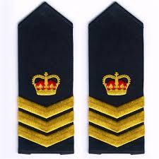 The patch generally refers to the school, or federation of schools to which one belongs to. China Super Lowest Price Police Woven Patch Feather Shoulder Epaulettes Evergreen Exporter And Product Evergreen