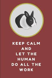 Smile broadly, sing loudly, paint your rooms in bold colors, search every rabbit hole for a magical white. Keep Calm And Let The Human Do All The Work A Funny Rabbit Quote Note Book Journal Customised Notepad For Rabbit Lovers Official Studygo 9781718063952 Amazon Com Books