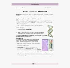 The cell structure gizmo™ allows you to look at typical animal and plant cells under a microscope. Transparent Dna Strand Png Cell Division Gizmo Answer Key Png Download Transparent Png Image Pngitem