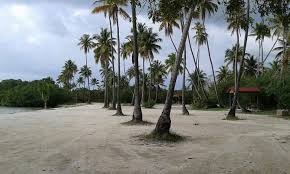 Walberto Ortiz Rivera (walbertoortiz)