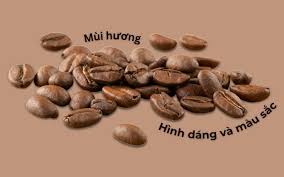 Kamereo - Địa chỉ cung cấp cà phê giá sỉ chất lượng
