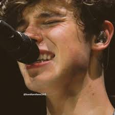 Ida Mendes (@grischifam_)