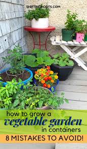 Valta Naita 8 Virhetta Paremman Vihannessailion Puutarhassa Container Gardening Veggies Patio Container Gardening Container Gardening Vegetables