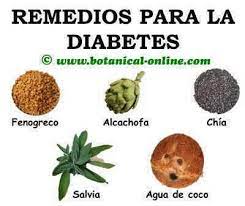 Plantas que curan y sanan la diabetes. Plantas Medicinales Para La Diabetes Botanical Online