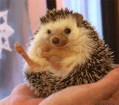 Https Encrypted Tbn0 Gstatic Com Images Q Tbn 3aand9gctqcdvz7zzzzrtdiptsuhn9lhwzxfjujebd5w Usqp Cau