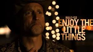 Cenjoy the little things türkçe çeviri. The 33 Rules Of Zombieland How To Survive The Zombie Apocalypse Anything Zombie Hq