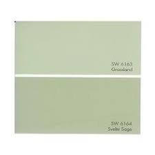 Image Result For Sherwin Williams Sage Leaf Paint Svelte Sage Paint Colors Interior Paint Colors Schemes