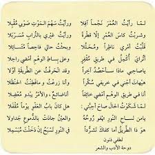 pin by lion biologist on اللغة العربية poetry quotes quotes arabic quotes