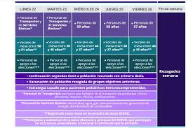 El próximo domingo 19 de junio se realizarán las primeras primarias municipales en el país y el servicio electoral (servel). Elecciones En Dos Dias Todo Lo Que Debes Saber Sobre El Rol De Los Vocales De Mesa Duna 89 7 Duna 89 7