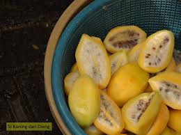 Image result for Carica