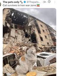 Goodnight 🤬🖕🏼