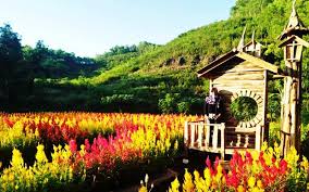 Maybe you would like to learn more about one of these? Taman Bunga Celosia Wisata Bandungan Rasa Mancanegara