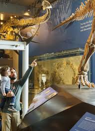 Members Frequently Asked Questions Natural History Museums Of Los Angeles County