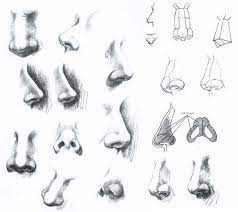 The nose can be awkward sometimes to draw but it is essential to know how to do it. Pin On Illustration