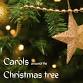 Carols Around The Tree event image