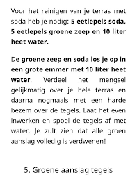 groene aanslag tegels verwijderen tuin maken schoonmaken schoonmaaktips
