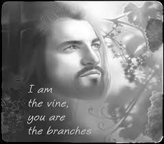 Our Lady of Mount Carmel Parish-Shrine