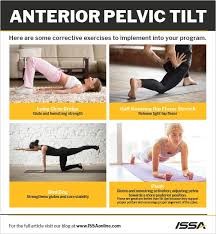 Pelvic Tilt What Is It And How Do You Correct It Pelvic Tilt Pelvic Floor Exercises Pelvic Floor
