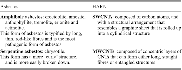 The endothelium is a specialized form of squamous epithelial tissue, and as such, endmt is a subcategory of emt. Carbon Nanotube Cellular Interactions Macrophages Epithelial And Mesothelial Cells Chapter 10 The Toxicology Of Carbon Nanotubes
