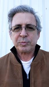 USA TODAY reporter surveys LA wildfire from above