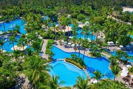 Image result for Oldenlandia verrucitesta