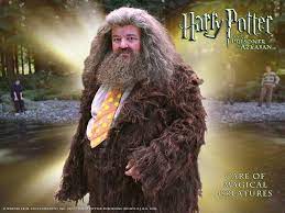 Professor Hagrid Care Of Magical Creatures Nayayau Rsttyeya Gyeyek Personnages Harry Potter Harry Potter Et Harry Potter Film