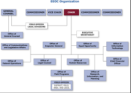 eeoc performance and accountability highlights fy 2007