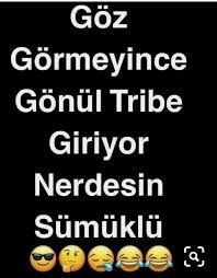 Burdaki Sumuklu Ben Oluyorumda Birazcik Mizah Alintilari Tavsiye Sozleri Komik