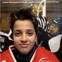 Sweden Hockey Trophy