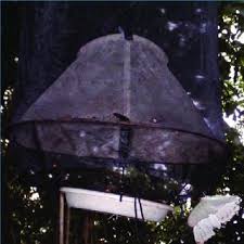 We did not find results for: Fruit Bait Trap Constructed Using Black Netting Download Scientific Diagram