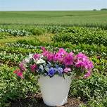 Patio Planter Class at the Chatham Bars Inn Farm
