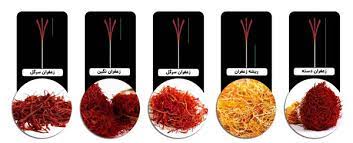 انواع زعفران صادراتی، آشنایی با بهترین نوع زعفران - فرصت امروز
