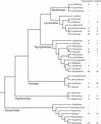 We would like to show you a description here but the site won't allow us. Tropical Niche Conservatism And The Species Richness Gradient Of North American Butterflies Hawkins 2009 Journal Of Biogeography Wiley Online Library
