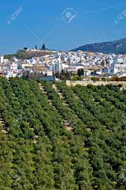 During the month of may and october you are most likely to experience good weather with pleasant average temperatures that fall between 20 degrees celsius (68°f) and 25 degrees celsius (77°f). Rute Cordoba Spain Stock Photo Picture And Royalty Free Image Image 27049394