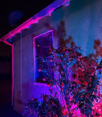 Pin On Bisexual Lighting