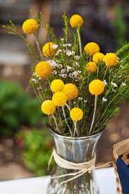 Wax Flowers And Billy Balls Wax Flowers Billy Balls Wedding Billy Balls
