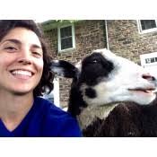 The Boulder Psychotherapy Institute