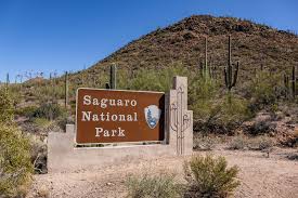 Daniel appel (l), a firefighter with engine 84 from the lassen national forest in california. Saguaro National Park The Greatest American Road Trip